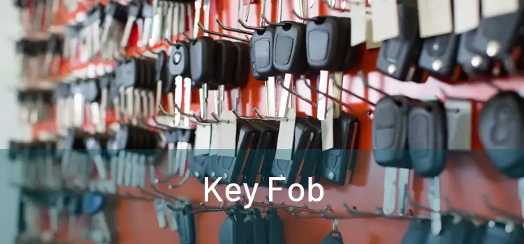  Key Fob 